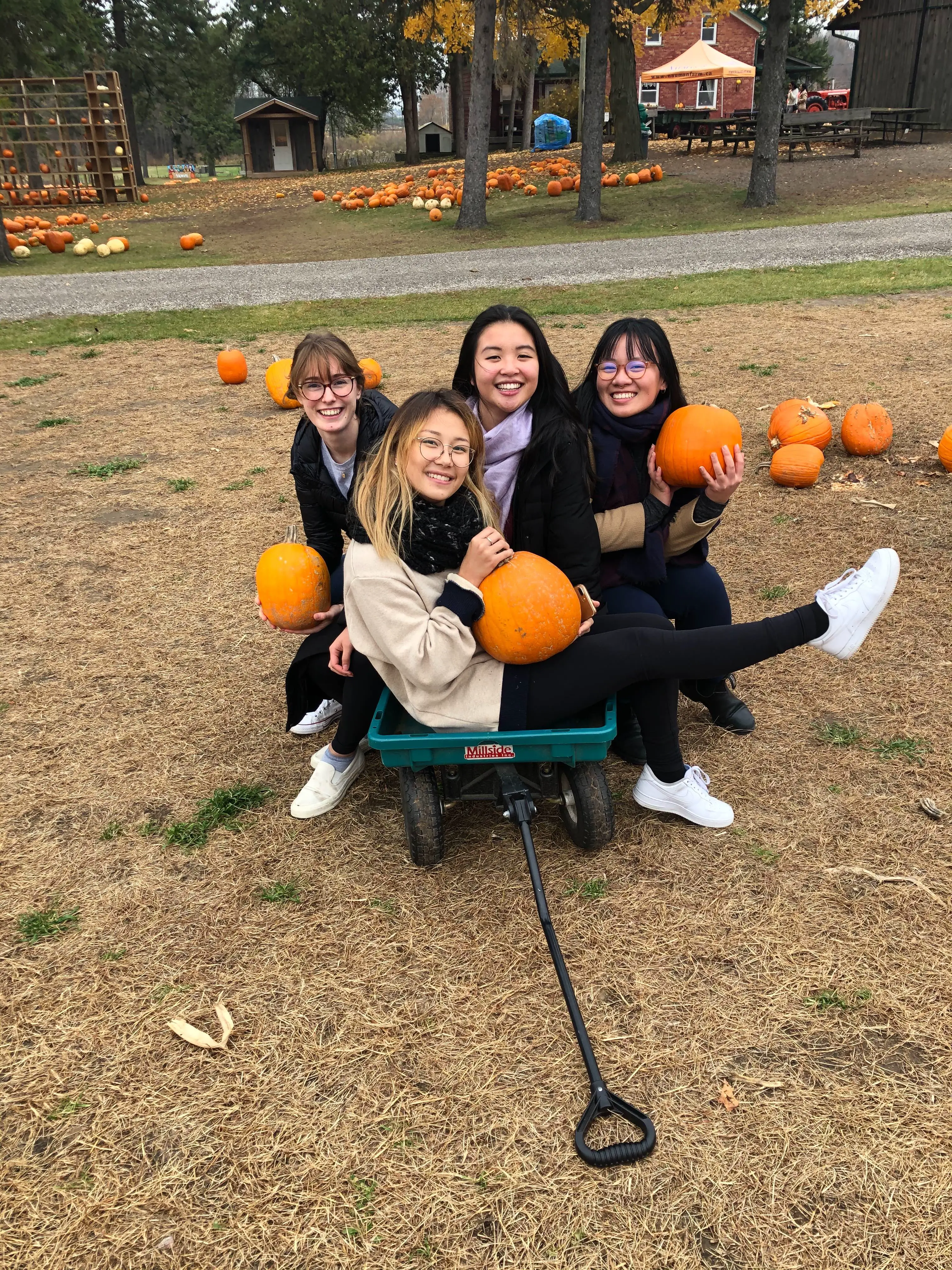 F19 · E-Team · pumpkins