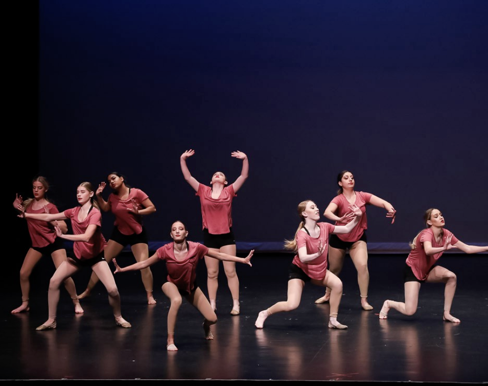 Dancefest highlight